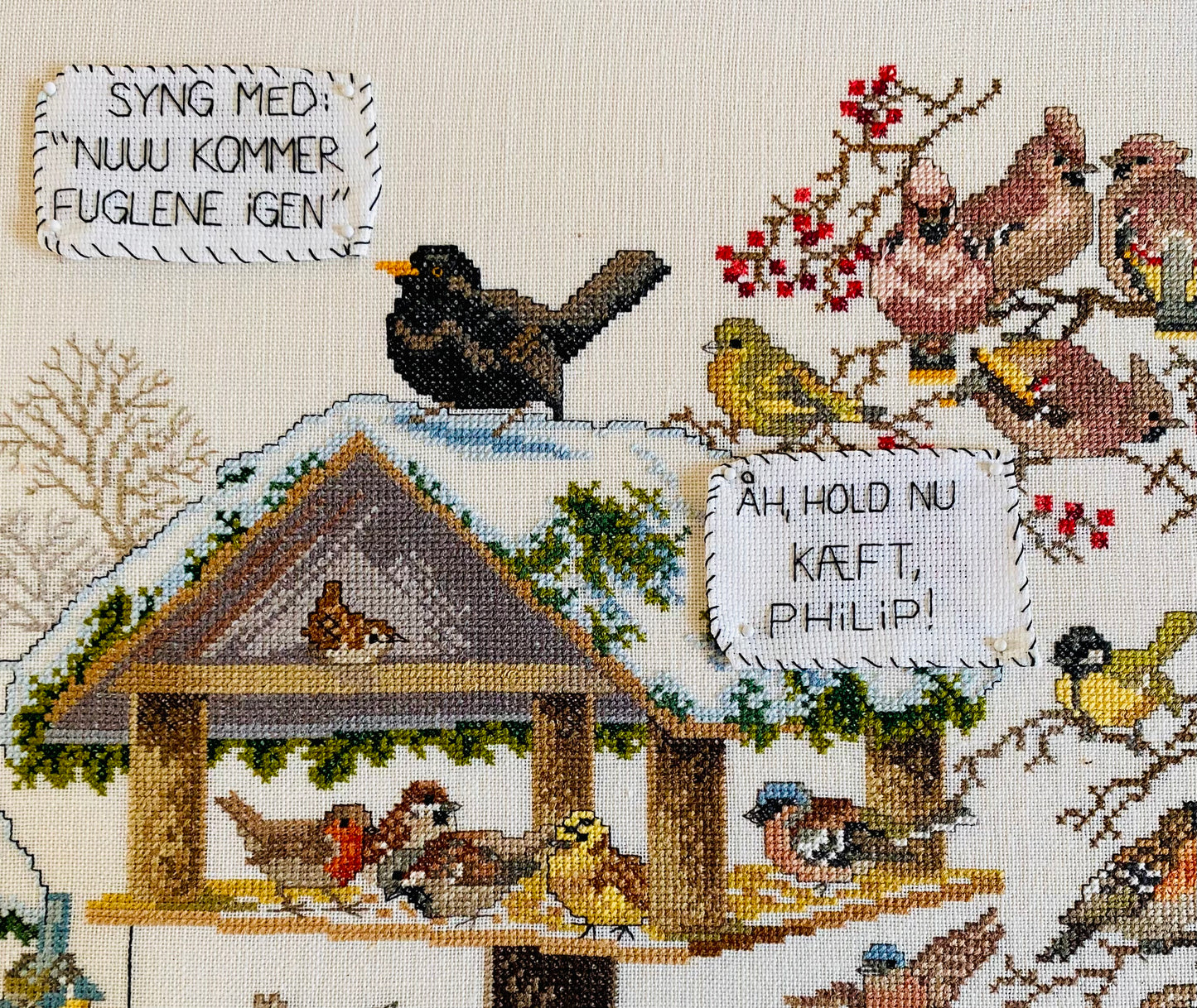 Nu kommer fuglene igen