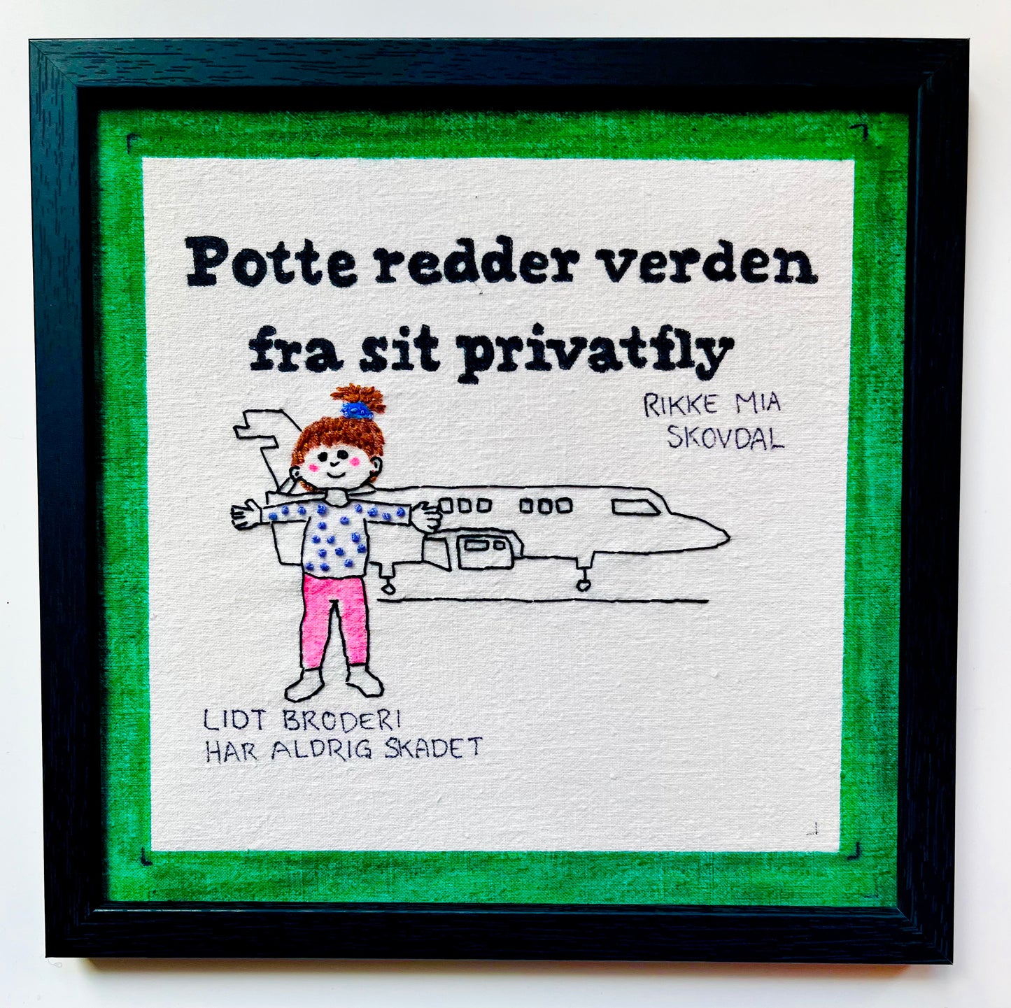 Potte redder verden fra sit privatfly