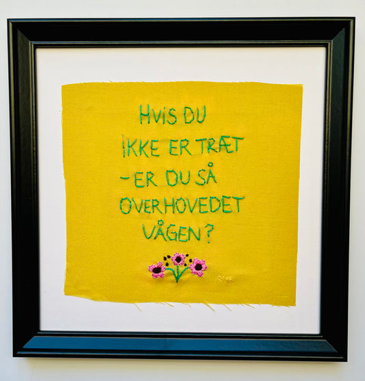 Er du overhovedet vågen?