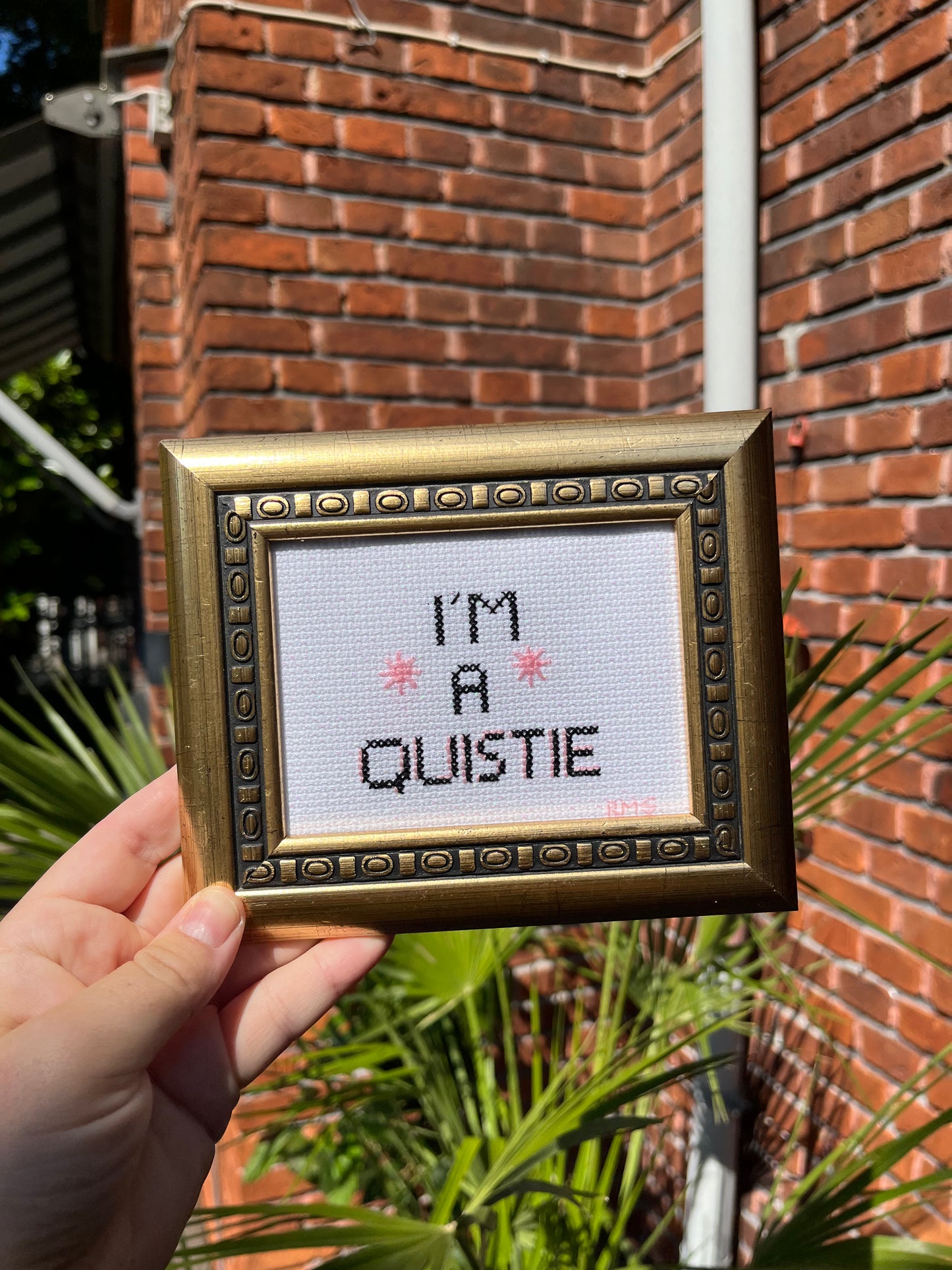 I'm a Quistie
