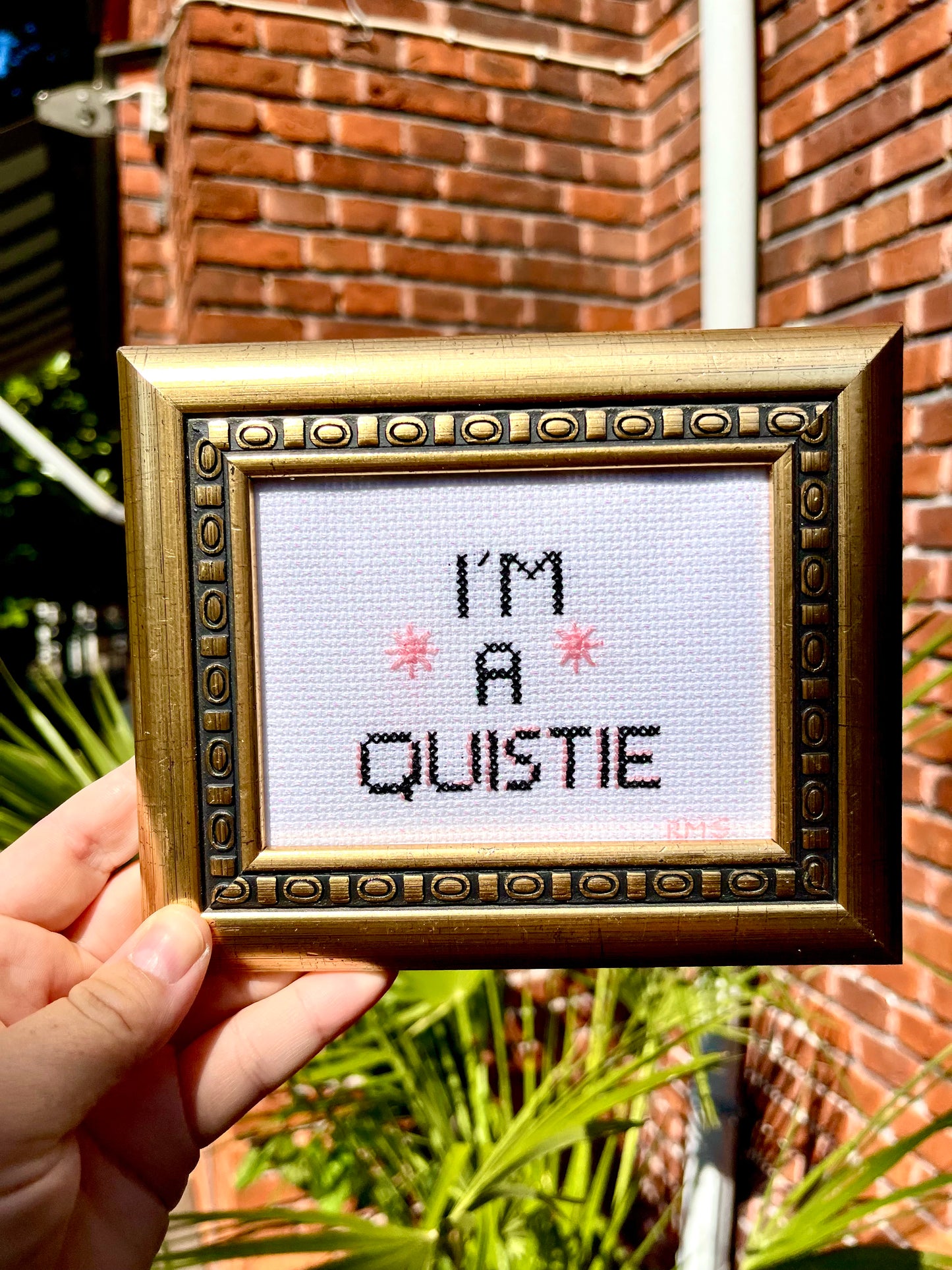 I'm a Quistie