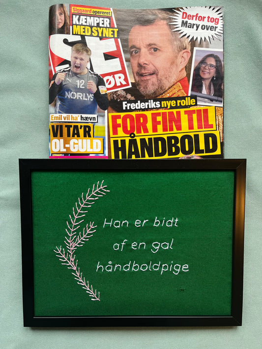 Bidt af en gal håndboldpige